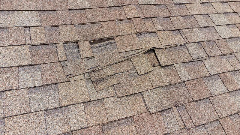 Repairing Curling Shingles