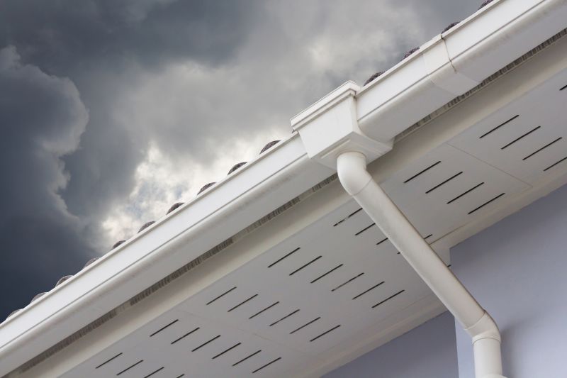 Gutter and Roof System Maintenance